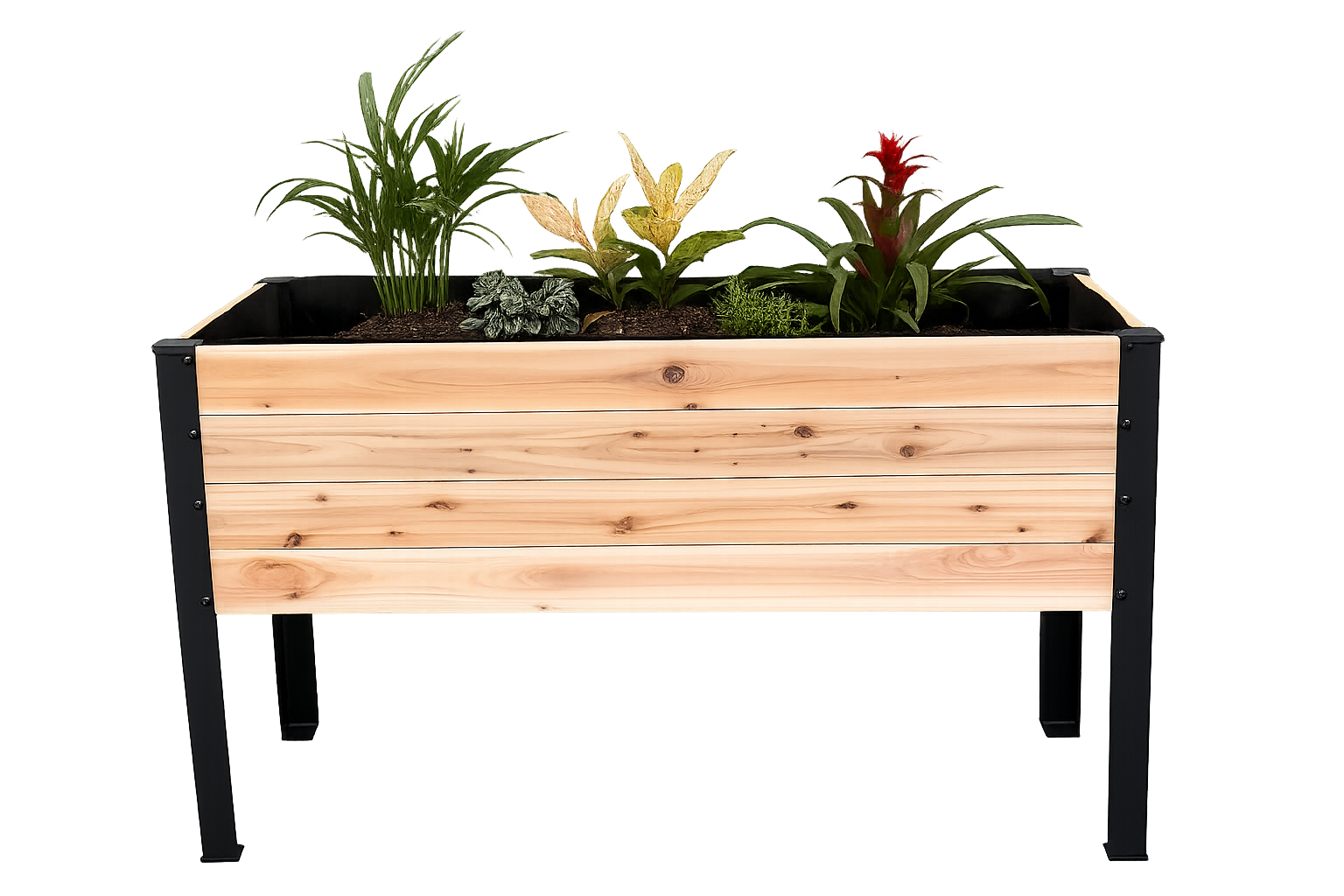 Raised Cedar Planter Box 48x19x28 | CORE