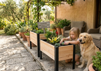 Raised Cedar Planter Box 48x19x28 | PRIME