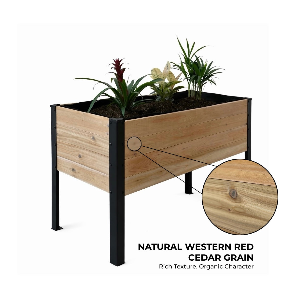 Raised Cedar Planter Box 48x19x28 | PRIME