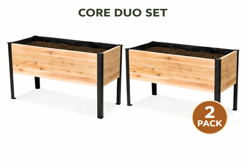 Core Duo Set raised cedar planter made from Western Red Cedar with black steel legs by LIVAROCKS